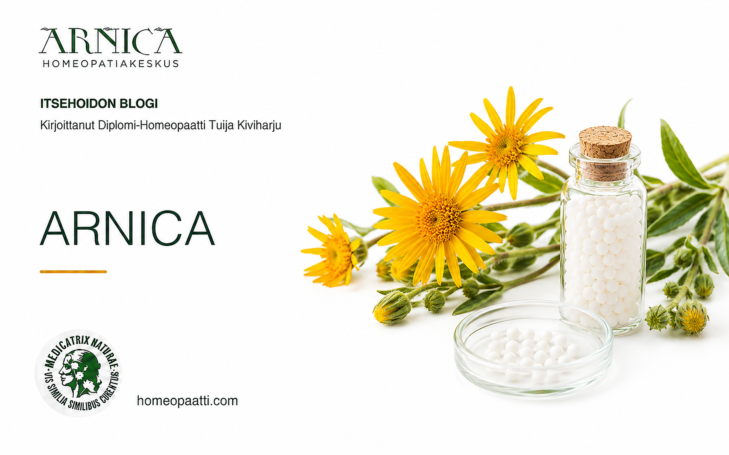 Arnica Montana