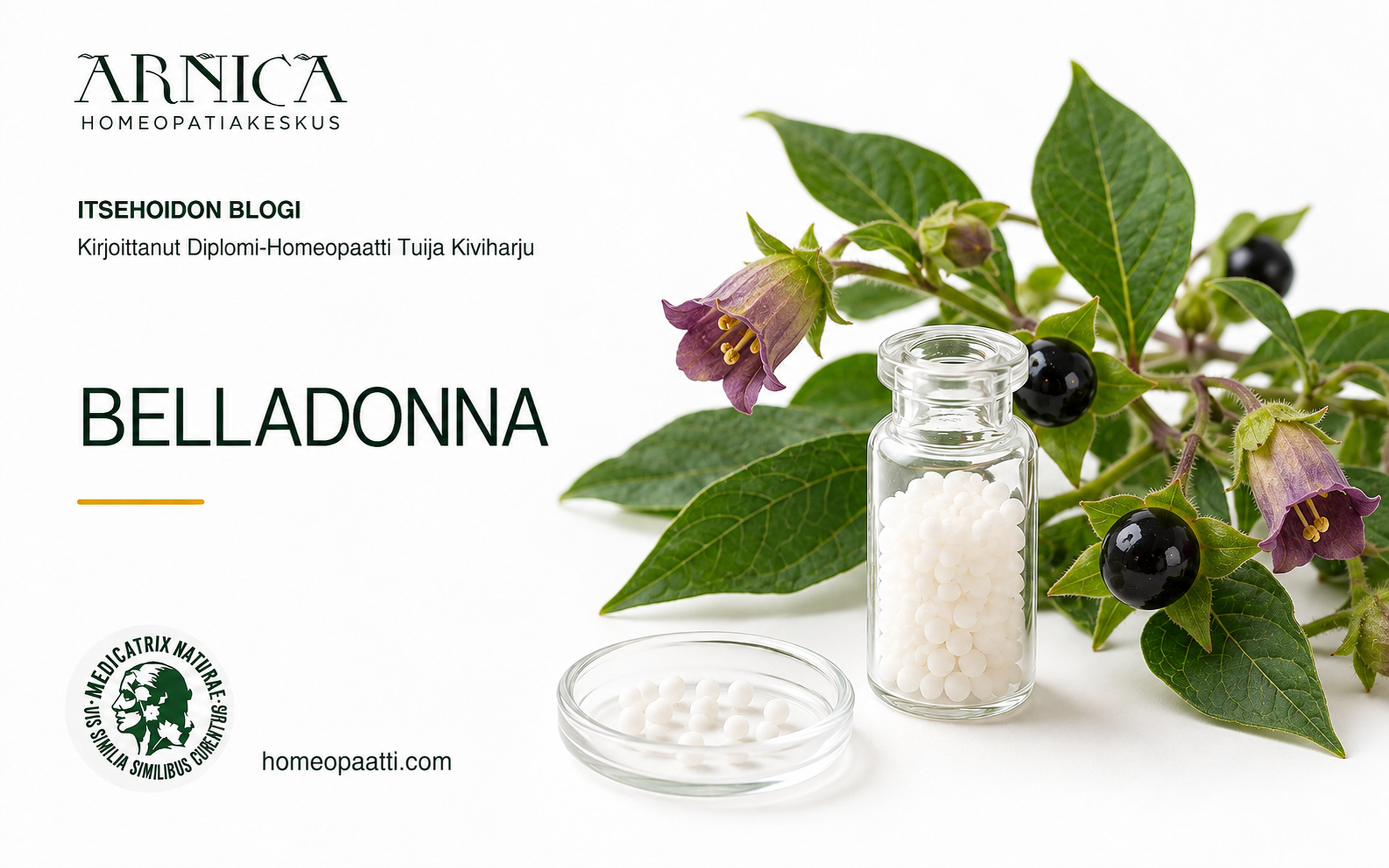 BELLADONNA