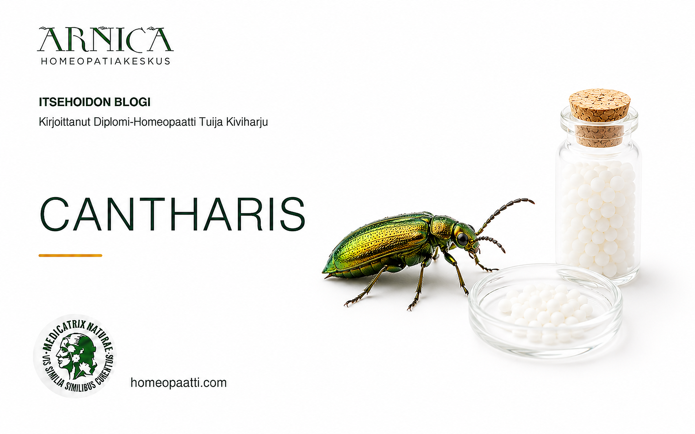 Cantharis