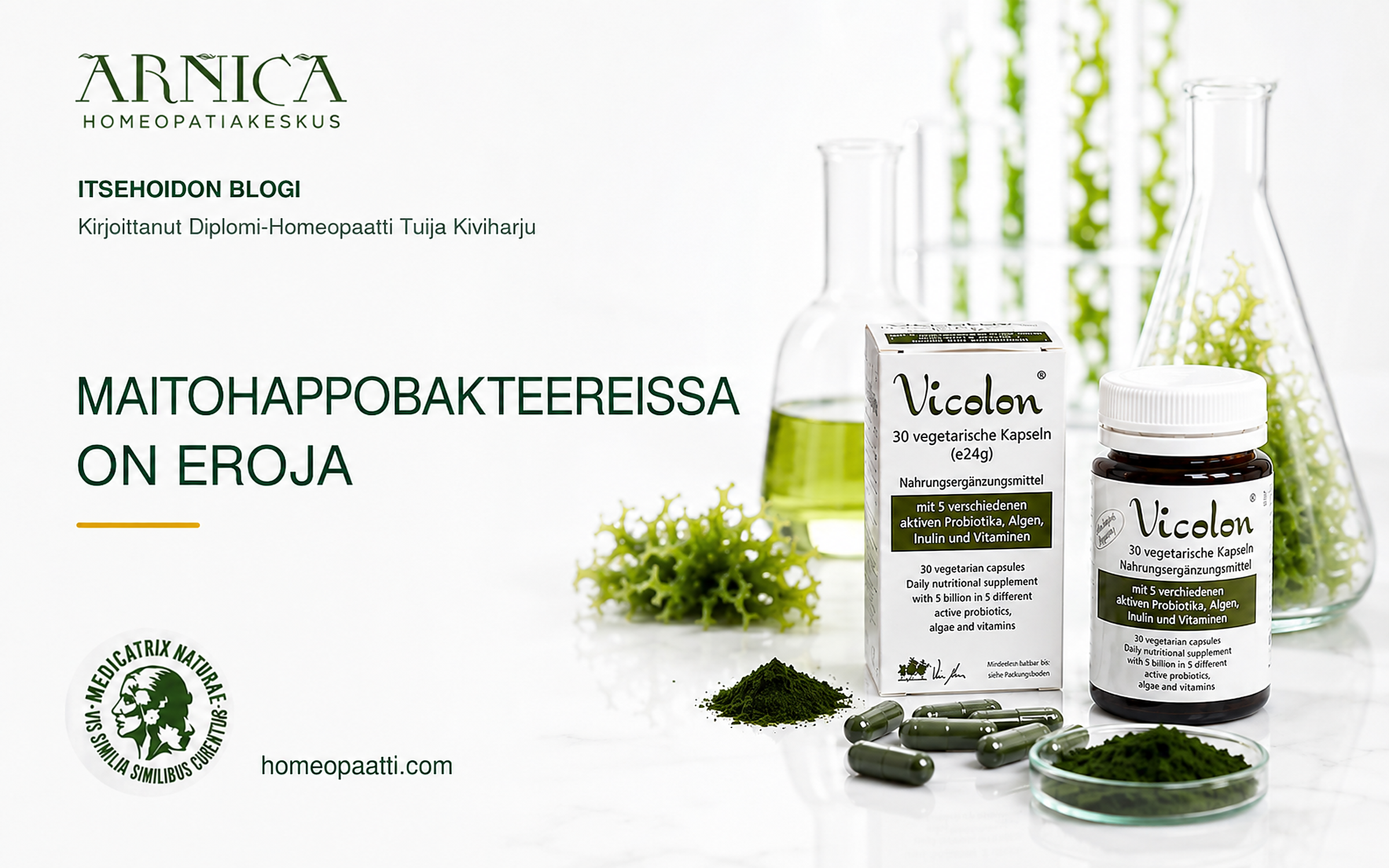 Maitohappobakteereissa on eroja!