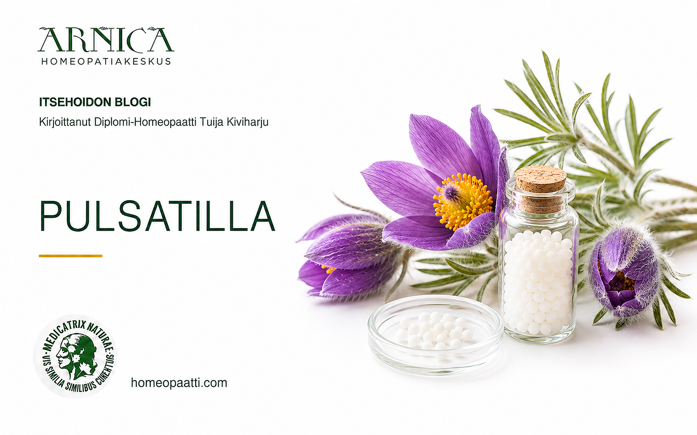 Pulsatilla