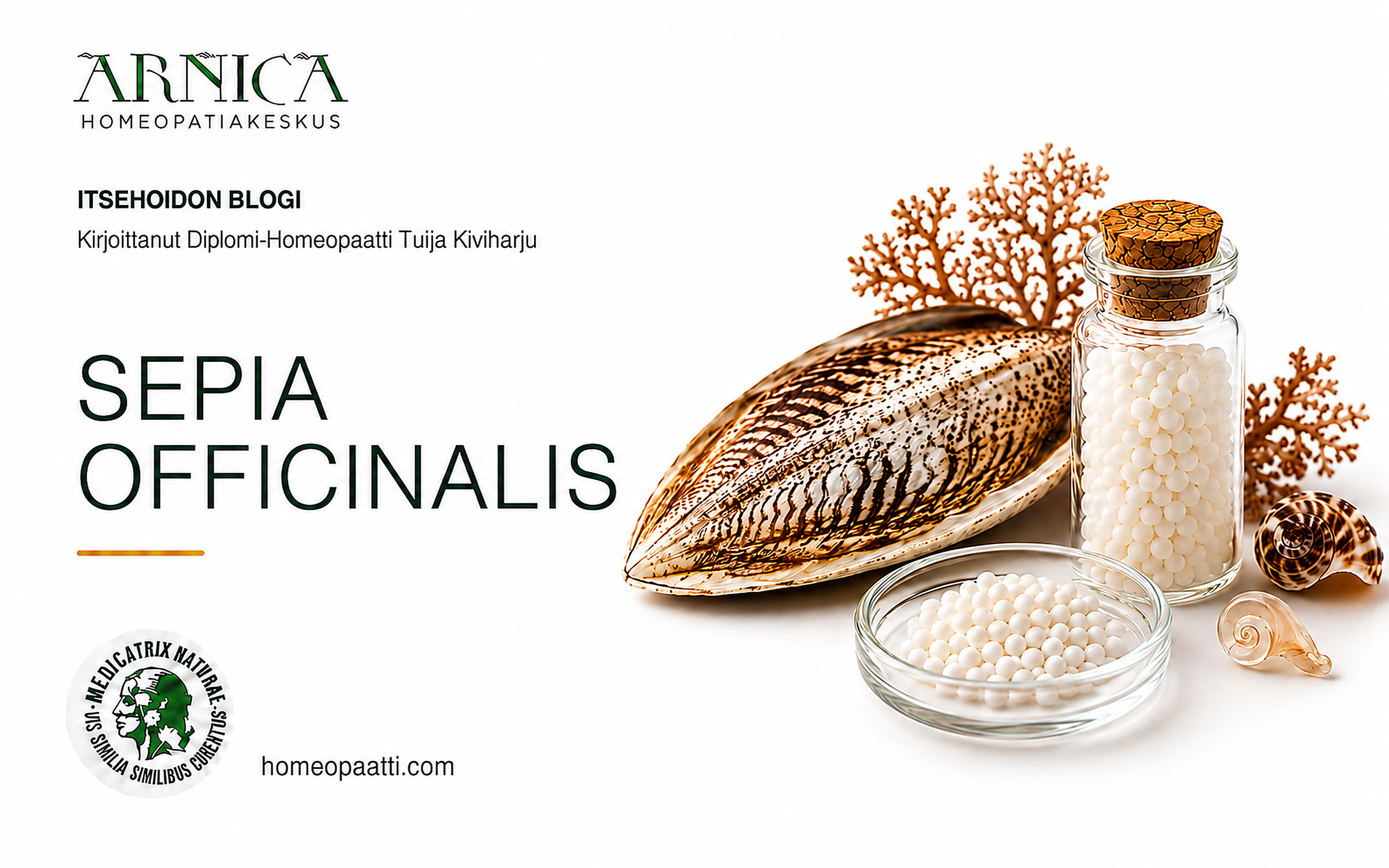 Sepia Officinalis